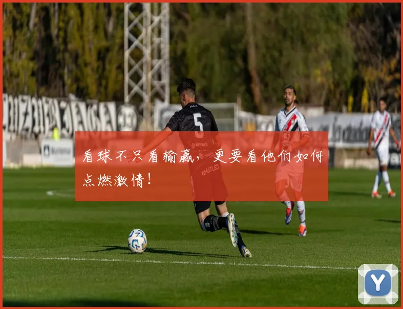 看球不只看输赢,更要看他们如何点燃激情!